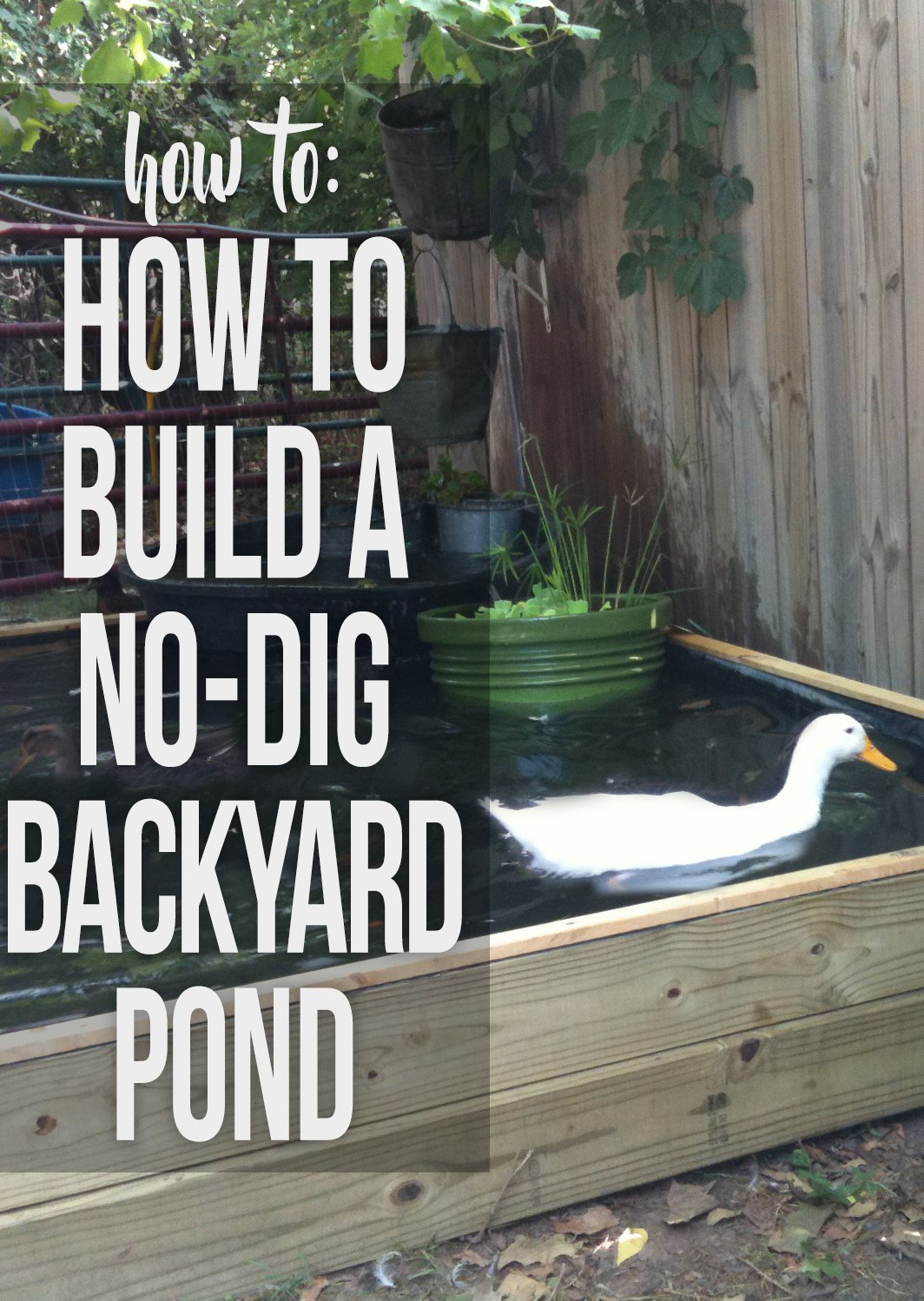 How to Build a No-Dig Backyard Pond for Under $70 - Hawk Hill