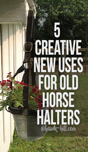 5 creative ways to repurpose old Horse Halters