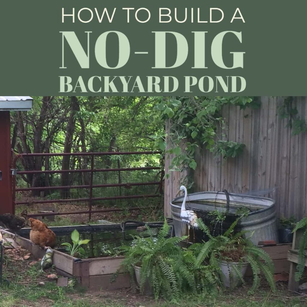 How To Build A No Dig Backyard Pond For, How To Build An Above Ground Garden Pond