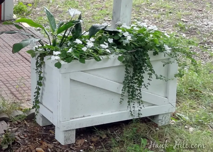 salvaged shipping crate turned raised bed planter of mixed greenery & flowers