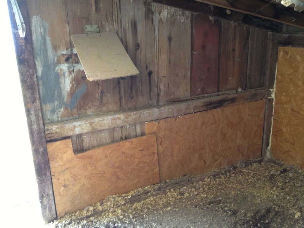 This large, open wall facing the horse barn was the spot I picked to install my nesting boxes