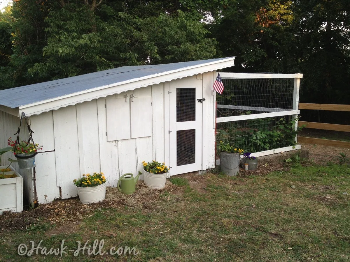 White Old Fashion Chicken Coop with Slant Roof - Hawk Hill