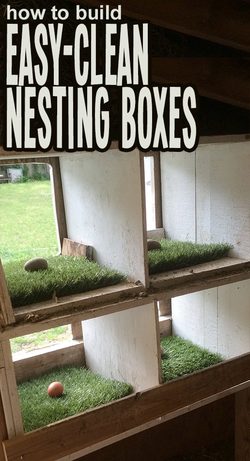 How to create a safe, comfortable, and easy to clean nesting box in your chicken coop.