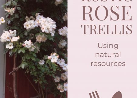 How to make a huge rustic rose trellis using free materials