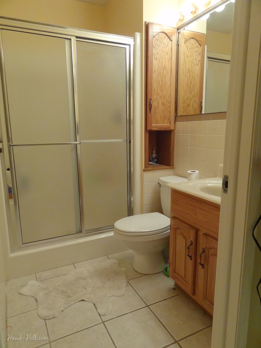 $300 bathroom remodel - before