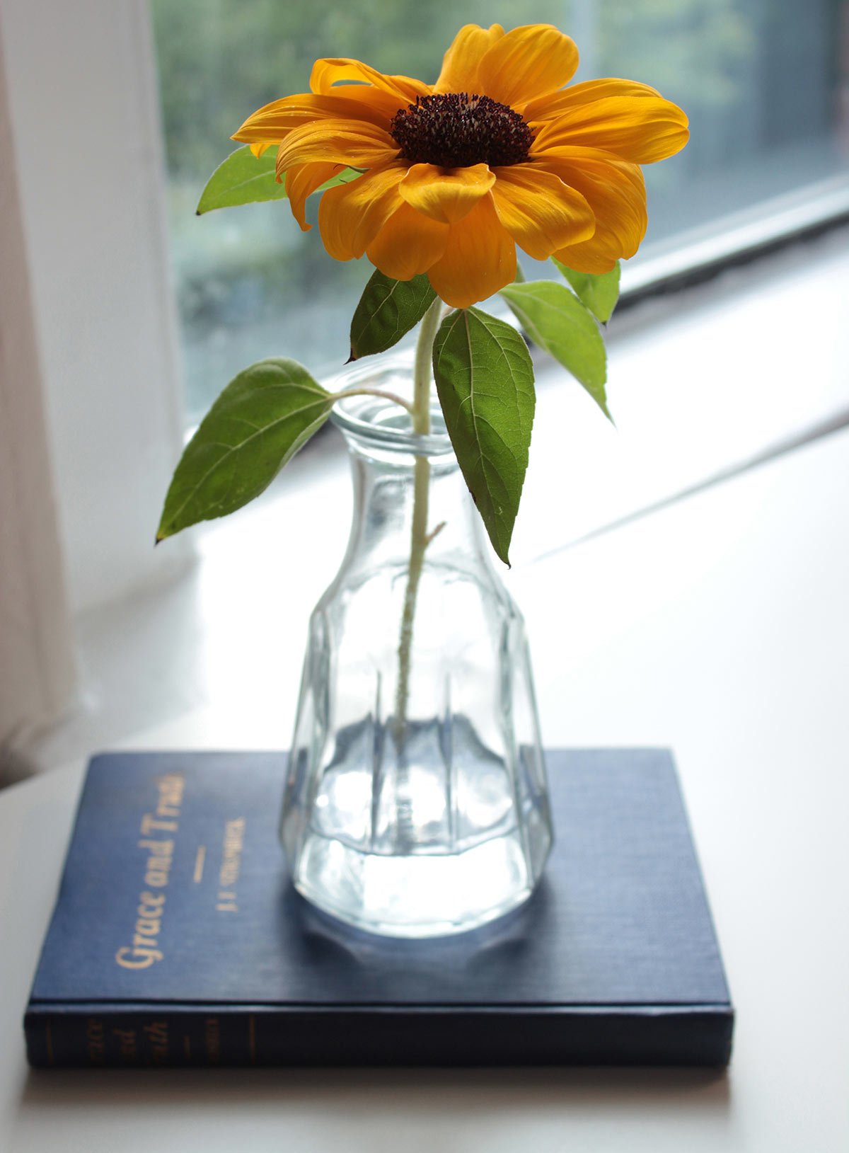 Sunflower in Vintage Salad Dressing Container