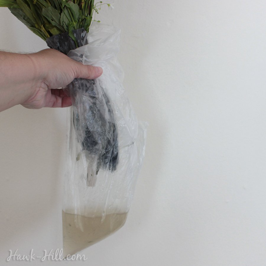 Place the cut stems of your bouquet into a plastic bag partially filled with water or a flower solution.