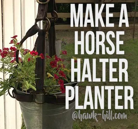 how to make a horse halter planter