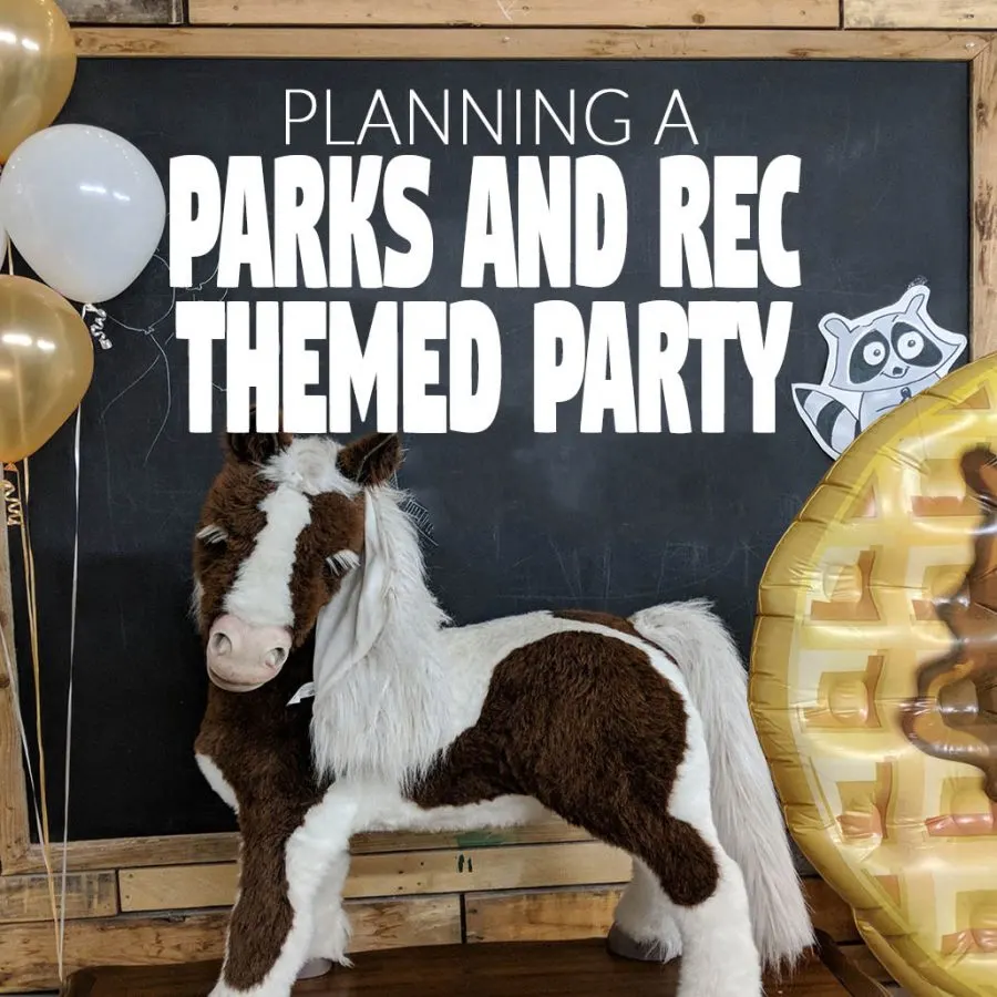 parks and recreation party planning