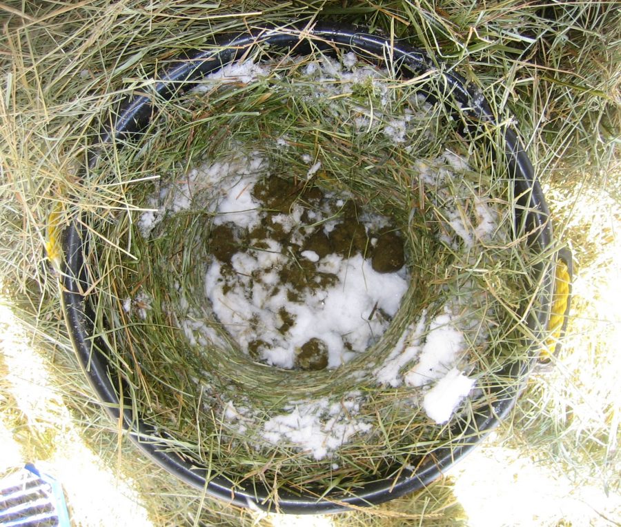 Manure makes an effective DIY bucket heater