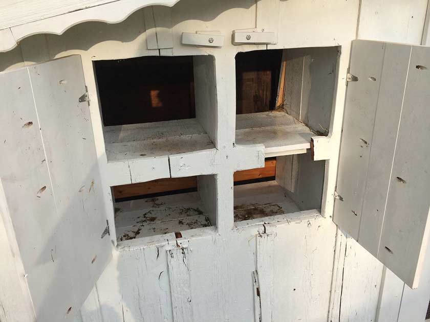 New nesting boxes installed in an old coop