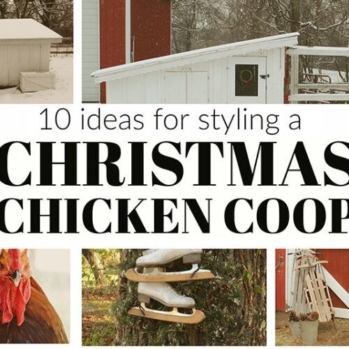 Chicken Coop Christmas Decorations: 10 Ideas