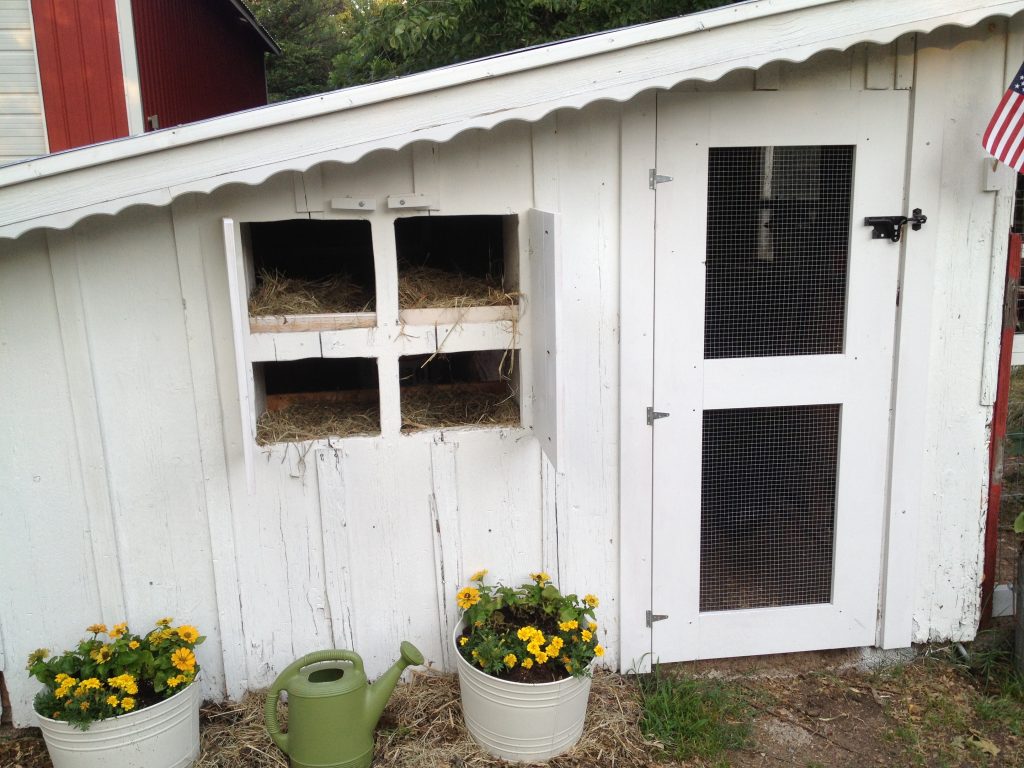 adding nesting boxes to 80 year old chicken coop