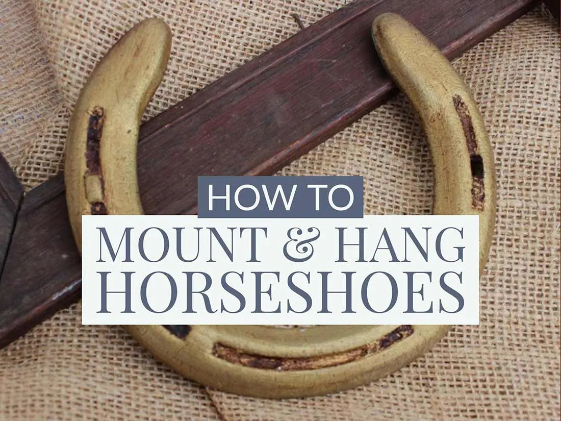 How to mount and hang horse shoes