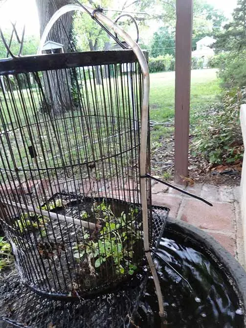 Turning a birdcage into a fountain using plastic tubing and zip ties