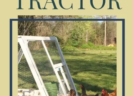Download my free woodworking plans for this collapsible and portable chicken tractor