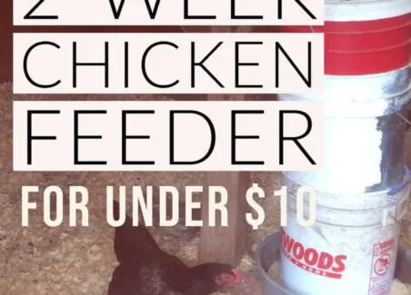 How to build a sturdy DIY chicken feeder that holds an entire 50lb bag of feed