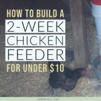 How to build a sturdy DIY chicken feeder that holds an entire 50lb bag of feed