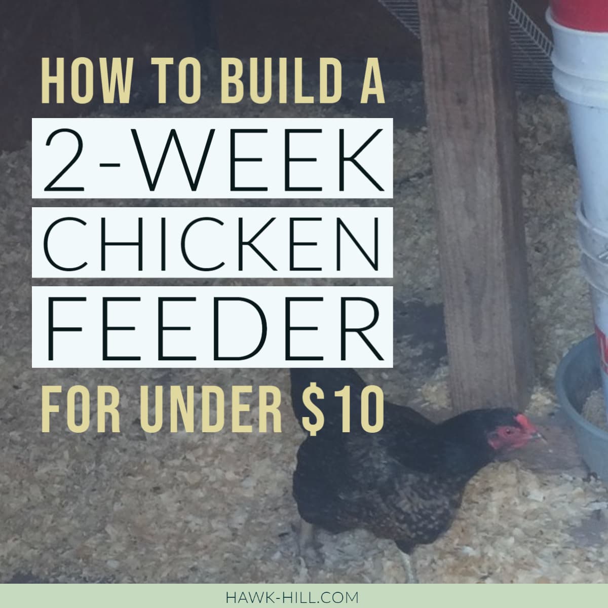 How to build a sturdy DIY chicken feeder that holds an entire 50lb bag of feed