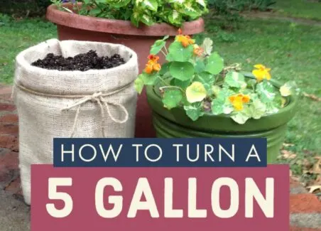 How to turn a 5 gallon bucket into a cute burlap planter
