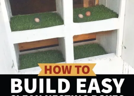 Lining Chicken Nesting Boxes with Astro-Turf for Easy Cleaning- Hawk-Hill.com