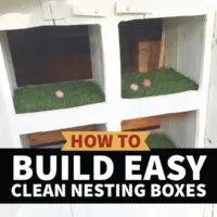 Lining Chicken Nesting Boxes with Astro-Turf for Easy Cleaning- Hawk-Hill.com