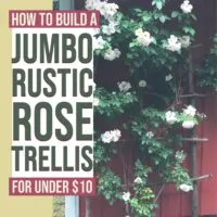How to make a huge rustic DIY rose trellis using free materials