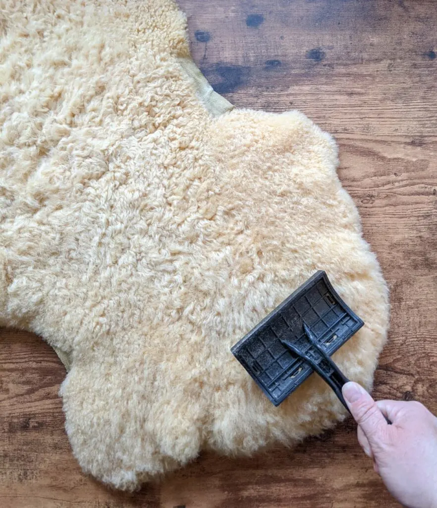 Combing a shepskin rug to clean, soften, and restore the soft fluffy pile