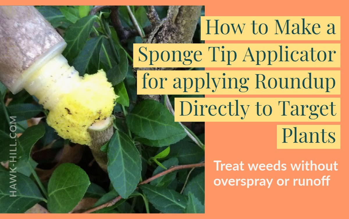 How to apply roundup directly to target plants without risking overspray or runoff