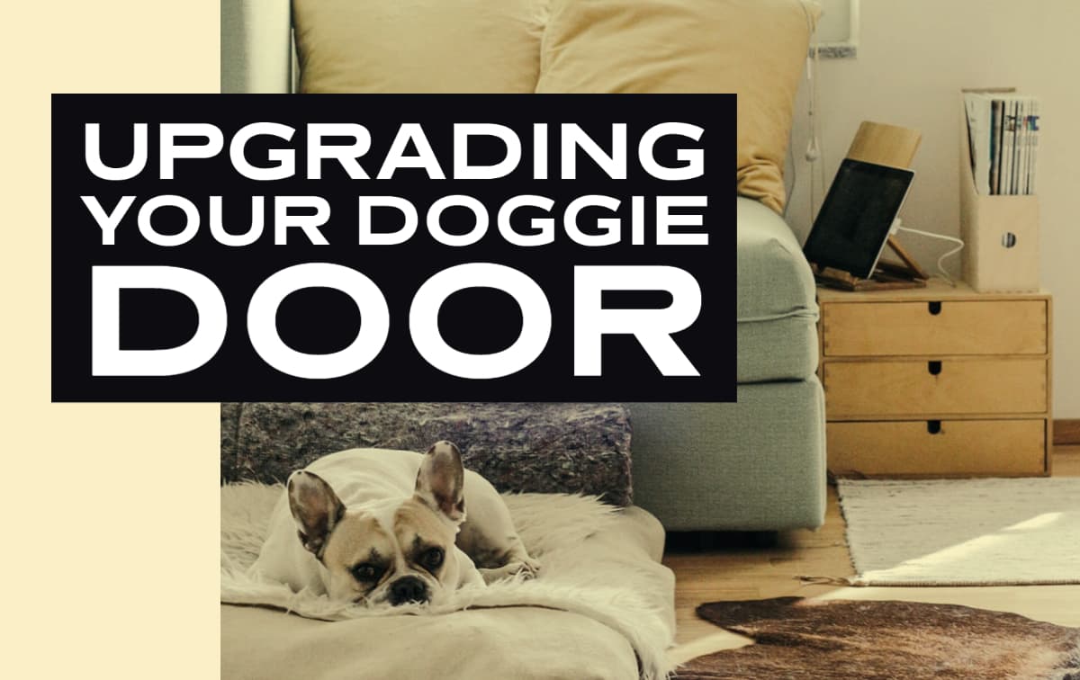 upgrading a doggie door for bonus functions and style