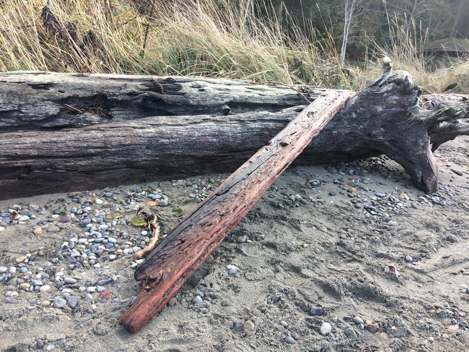 driftwood plank on a beach