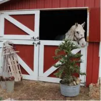Decorating for christmas with an equestrian and horse inspired holiday style