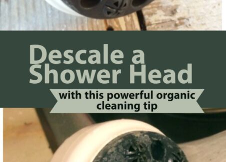 Recipe for descaling a shower head using natural ingredients