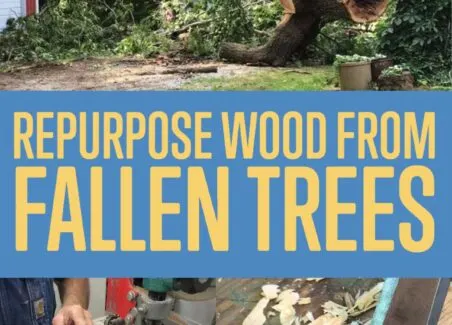 how to repurpose wood from a sentimental tree- so the fallen tree can remain a part of family memory