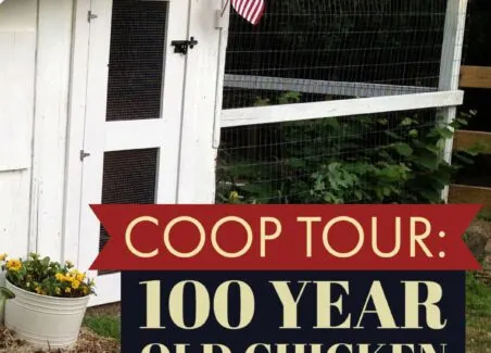 Tour 100 year old coop Copy (1)