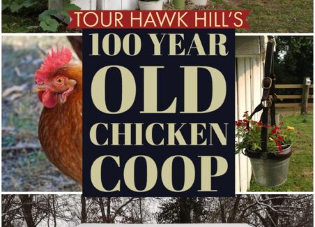 Keeping modern chickens in a 100 year old vintage coop - things I love and updates I've added