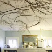 tree branches on ceiling