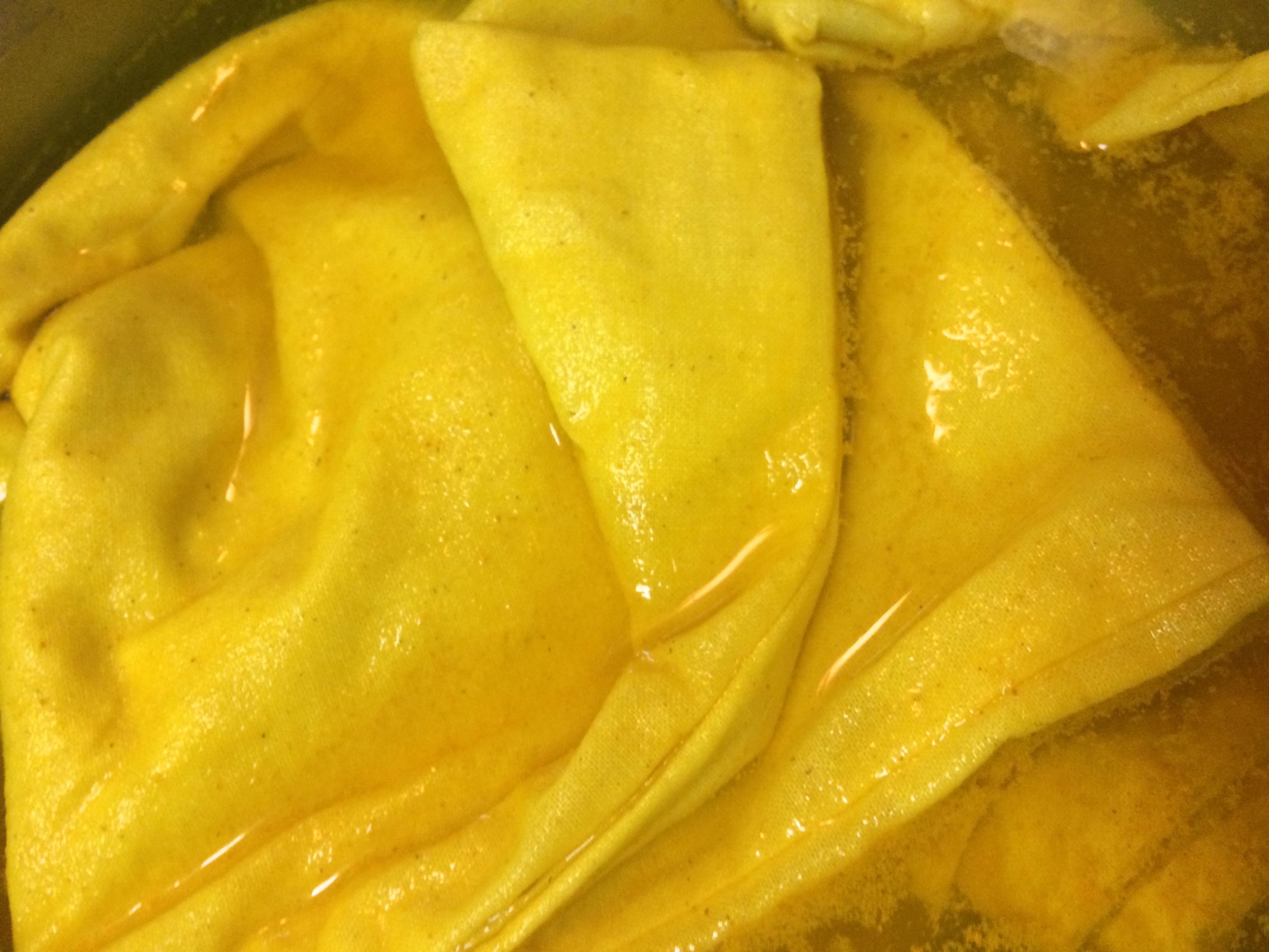 How To Make Fabric Dye With Plants 3 Easy Steps Hawk Hill