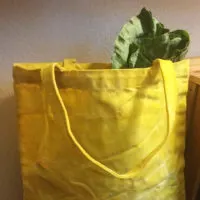 yellow waterproof bag with greens spilling out.