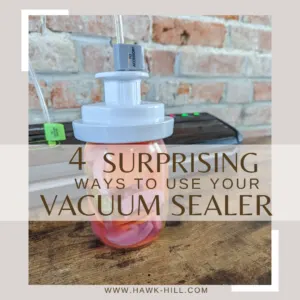 Foodsaver Hacks: 4 New Ways You Didn’t Know You Could Use a Vacuum Sealer