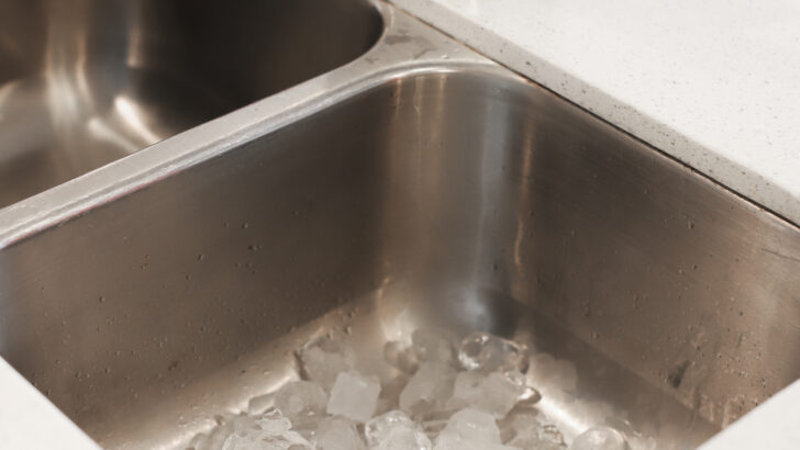 clean out your garbage disposal using nothing but ice