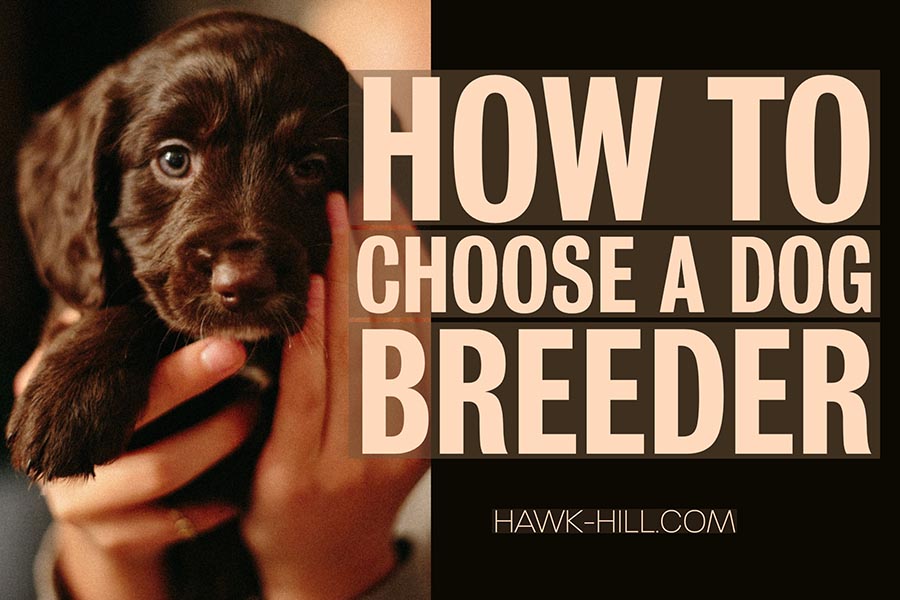 Tips of selecting a breeder to ensure the puppy you bring home is healthy, happy, and ready to grow into your perfect pet