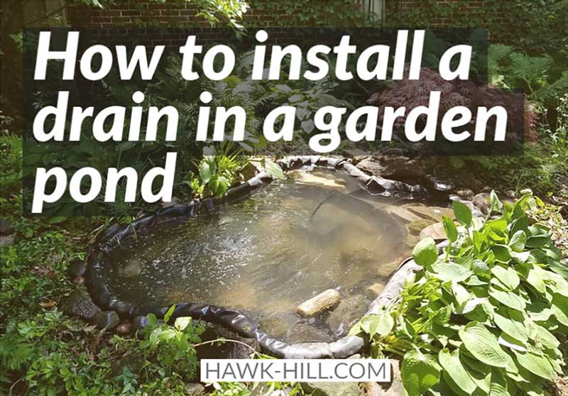 Installing a gravity drain in your pond takes about 15 minutes and makes pond clean-outs easy, fast, and energy efficient. Find detailed instructions and learn more about how to purchase an unobstructed drain type