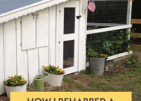Keeping modern chickens in a 100 year old vintage coop - things I love and updates I've added