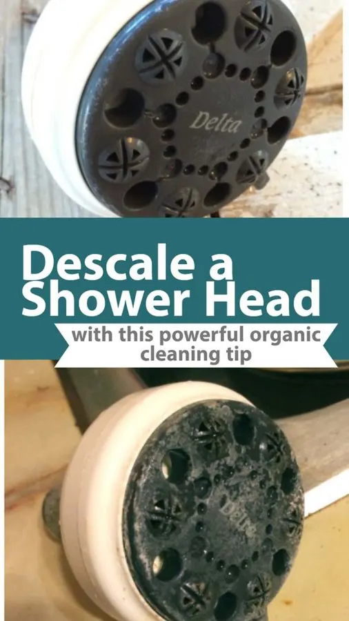 Recipe for descaling a shower head using natural ingredients