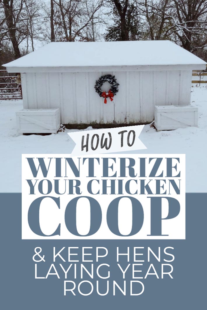 How to Winterize your Chicken Coop and Keep Hens Laying all Winter · Hawk Hill