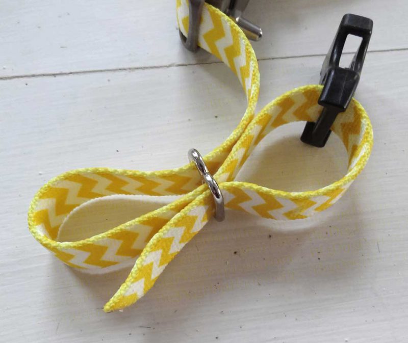 a dog collar and slide