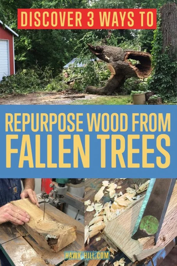 How to repurpose a beloved fallen tree into art and objects you can continue to enjoy